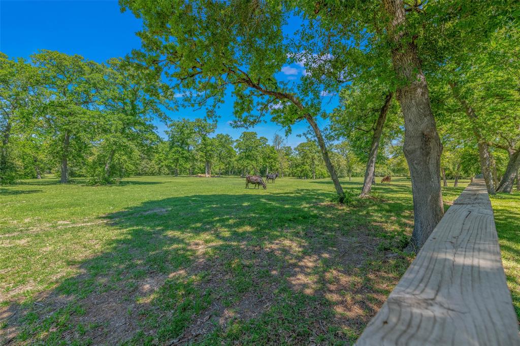 17686 Cr 473, Somerville, Texas image 38