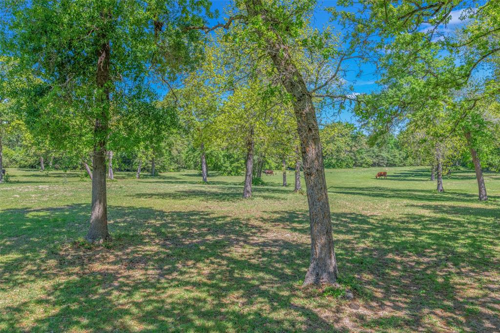 17686 Cr 473, Somerville, Texas image 39