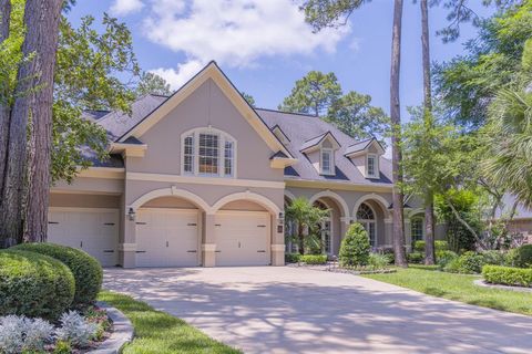 34 S Taylor Point Drive The Woodlands TX 77382