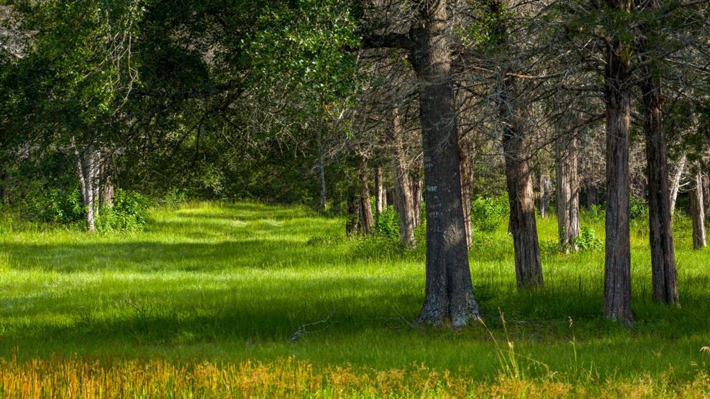 +/-323 ac Ferrill Creek Road