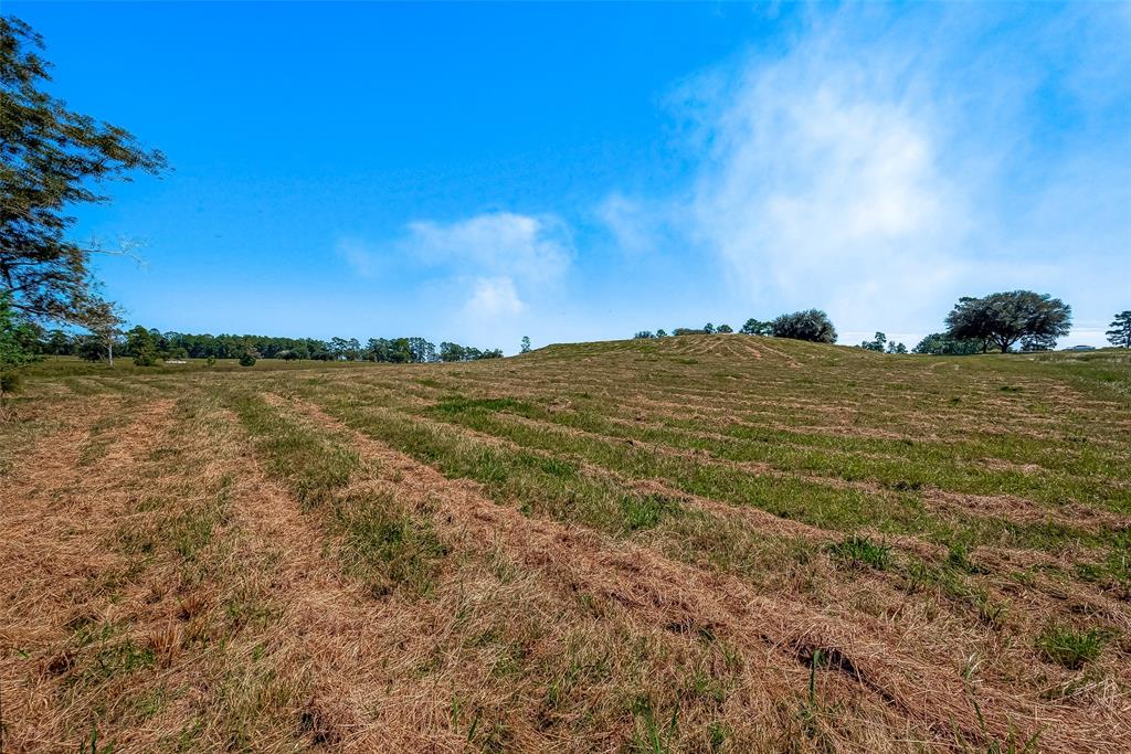 LOT 109 Lakeland Ranch, Hillister, Texas image 30