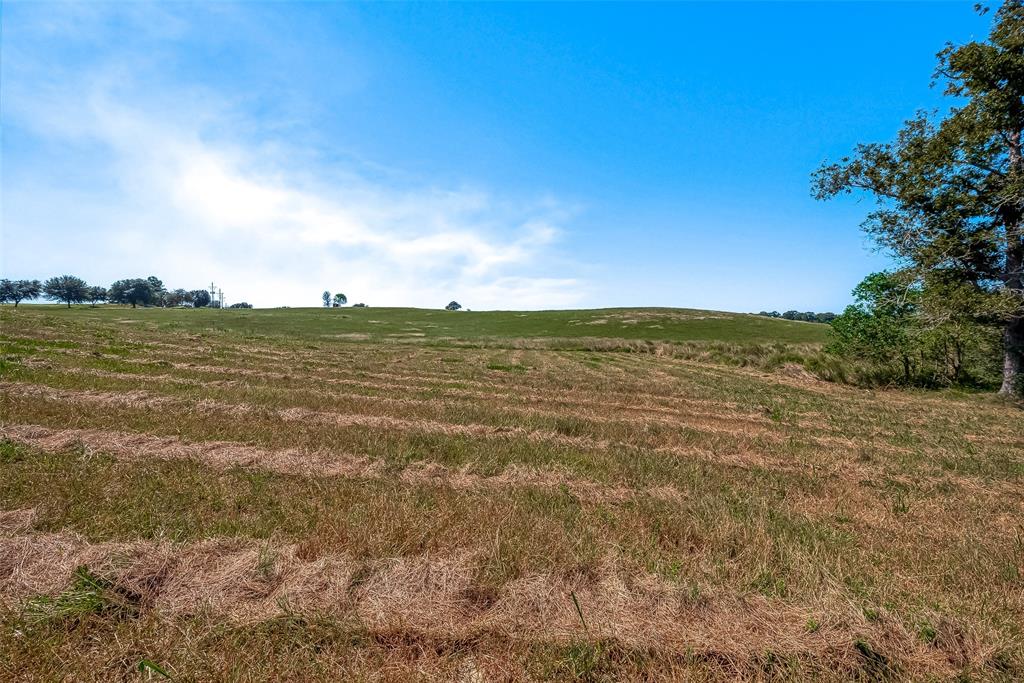 LOT 109 Lakeland Ranch, Hillister, Texas image 26