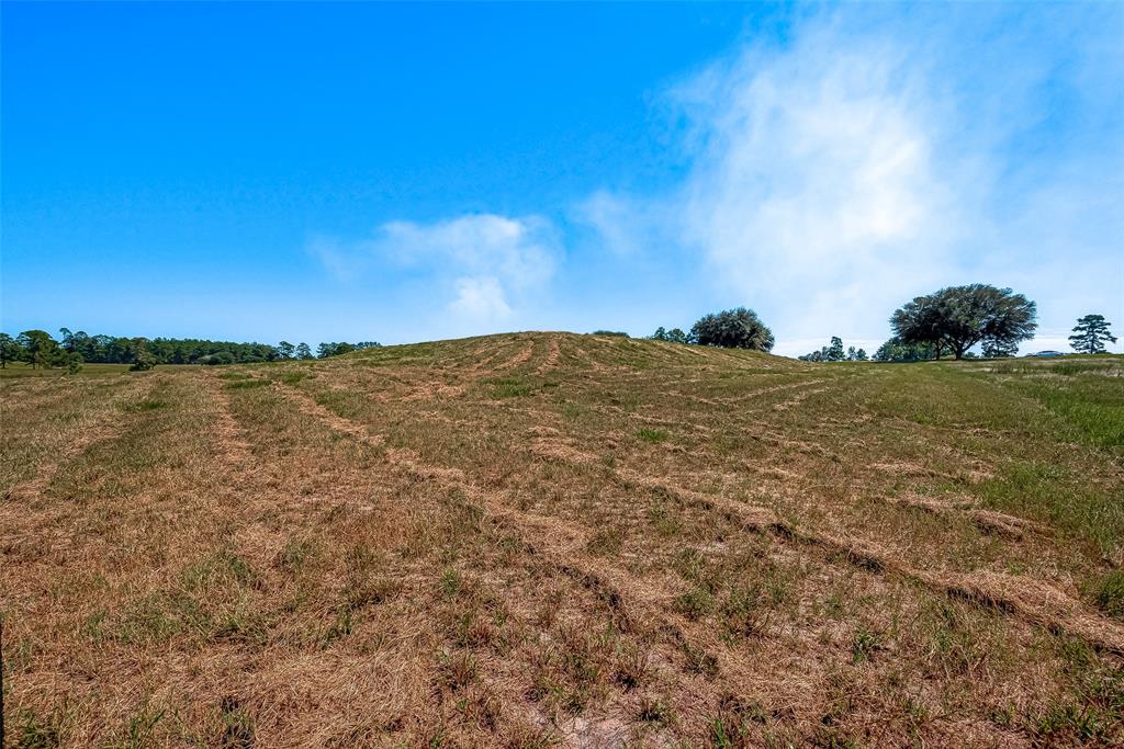 LOT 109 Lakeland Ranch, Hillister, Texas image 31