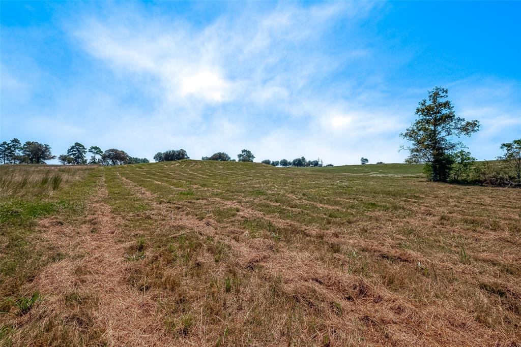 LOT 109 Lakeland Ranch, Hillister, Texas image 29