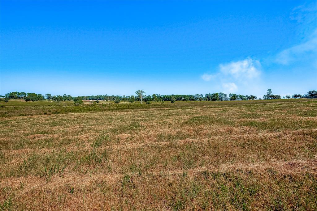 LOT 109 Lakeland Ranch, Hillister, Texas image 27