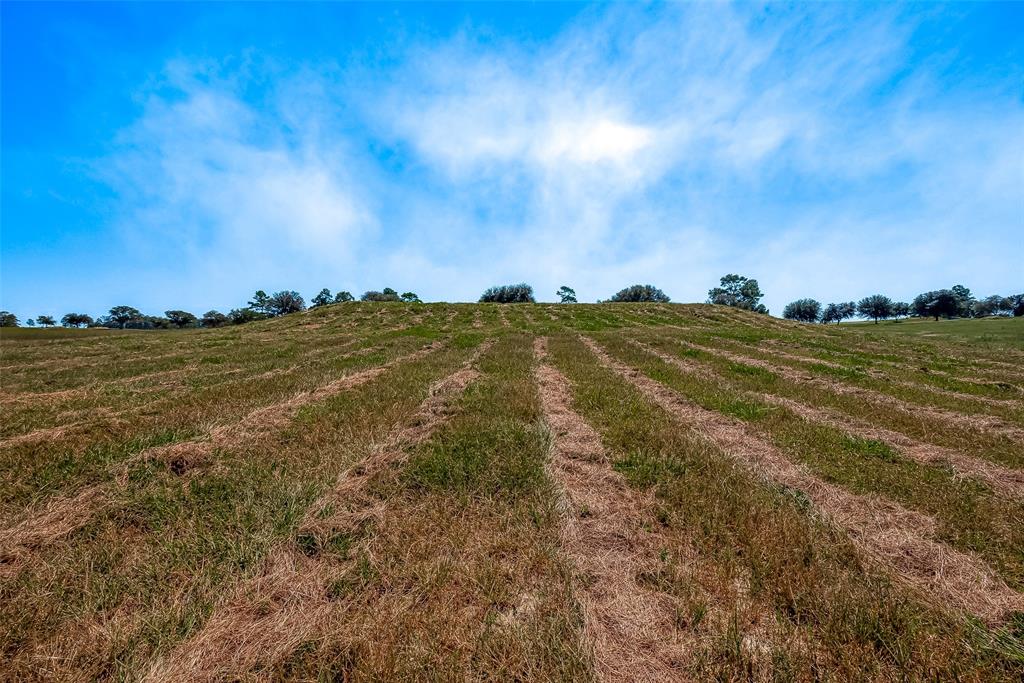 LOT 109 Lakeland Ranch, Hillister, Texas image 25