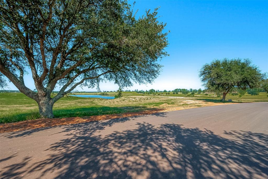 LOT 109 Lakeland Ranch, Hillister, Texas image 15