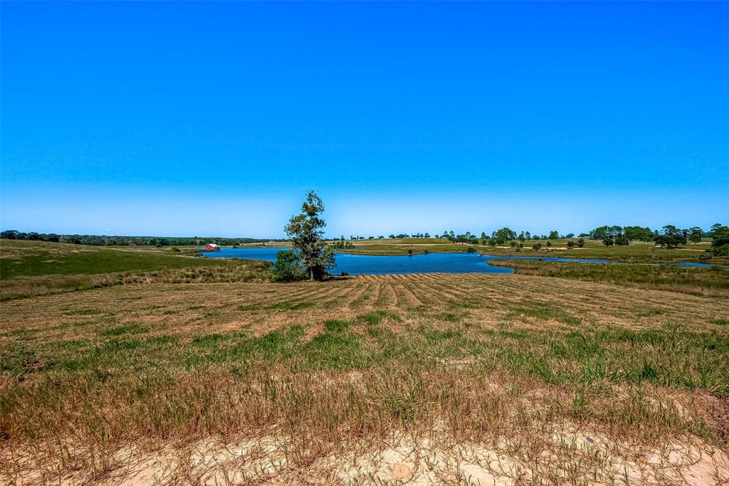 LOT 109 Lakeland Ranch, Hillister, Texas image 20