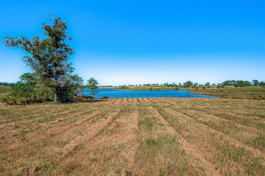 LOT 109 Lakeland Ranch, Hillister, Texas image 24