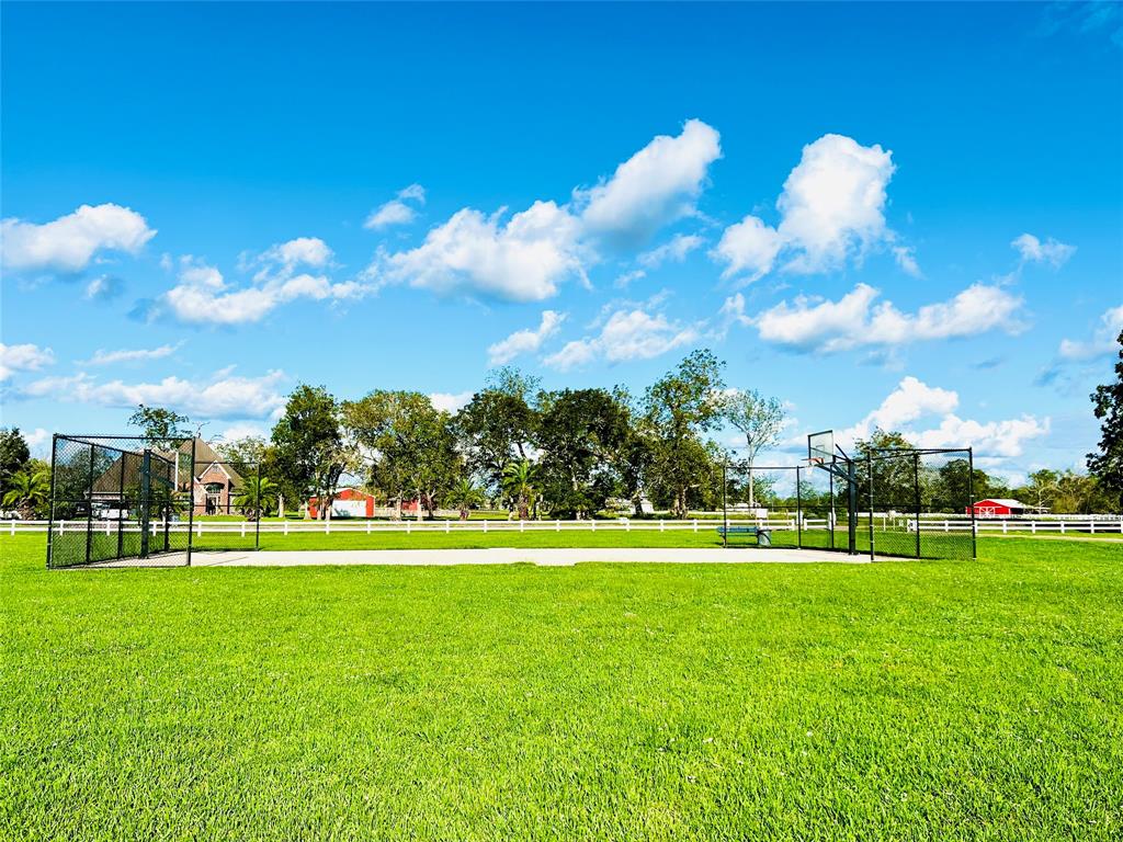17227 Lucky Horse Drive, Rosharon, Texas image 1