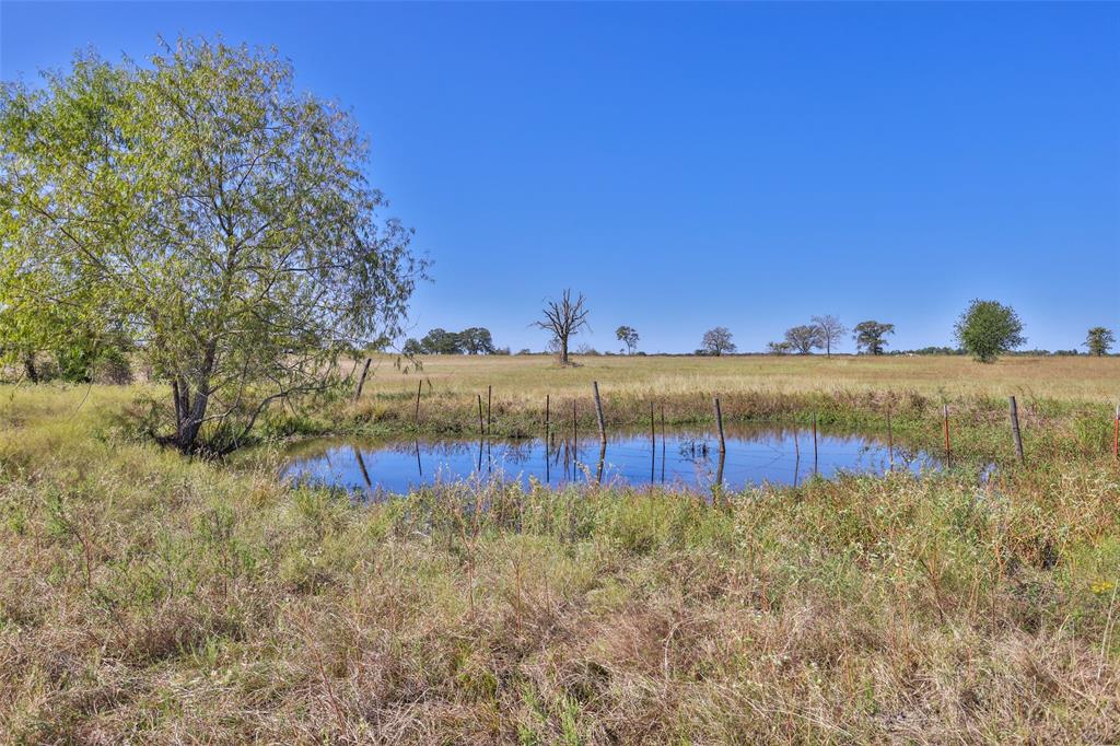 13903 Satcher Lane, Bedias, Texas image 7