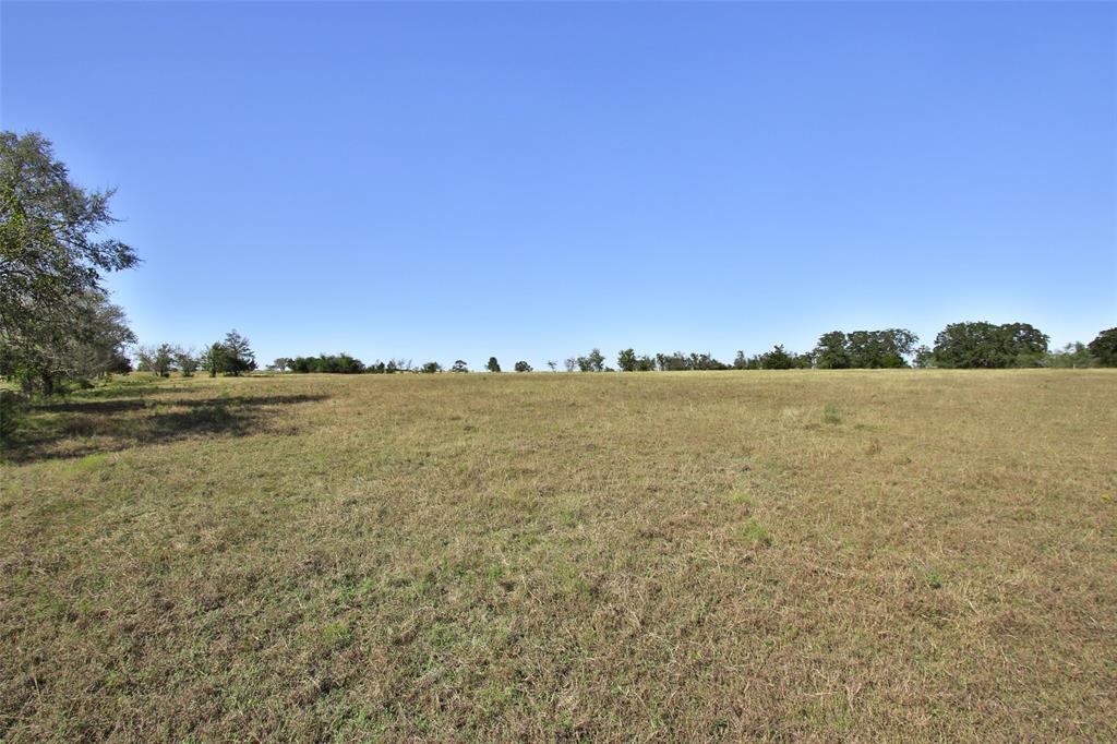 13903 Satcher Lane, Bedias, Texas image 6