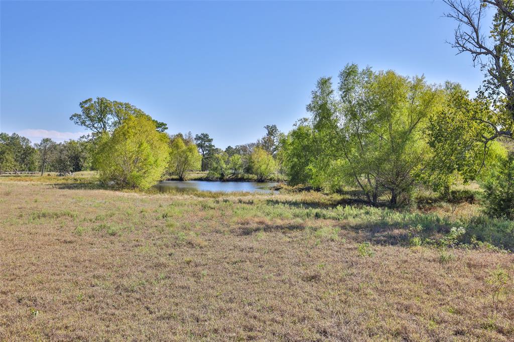 13903 Satcher Lane, Bedias, Texas image 10