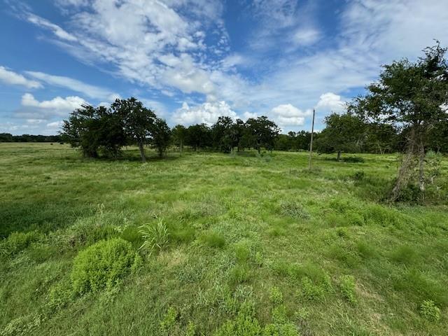 Tract 1 Walhalla Road, Round Top, Texas image 3