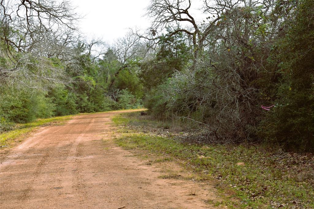 TBD Van Buren And Johnson, Hilltop Lakes, Texas image 6