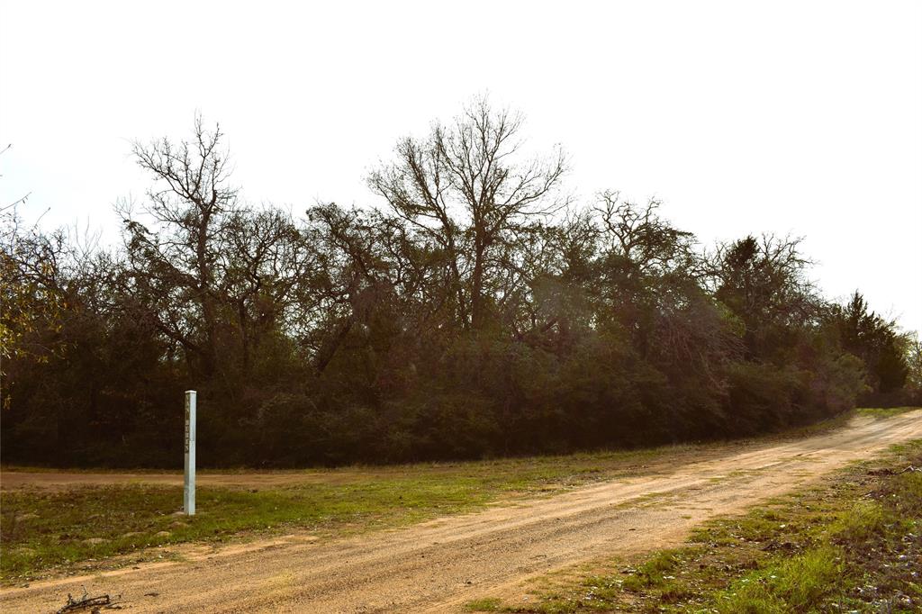 TBD Van Buren And Johnson, Hilltop Lakes, Texas image 5