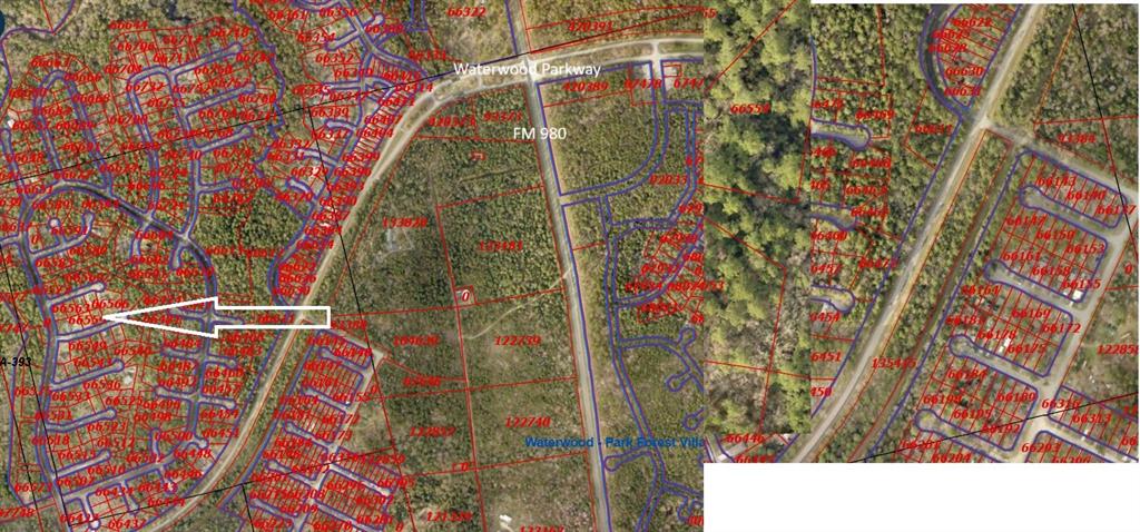 26712 Knottywood Court, Huntsville, Texas image 2