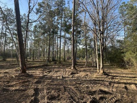 10698 Ruger Road Willis TX 77378