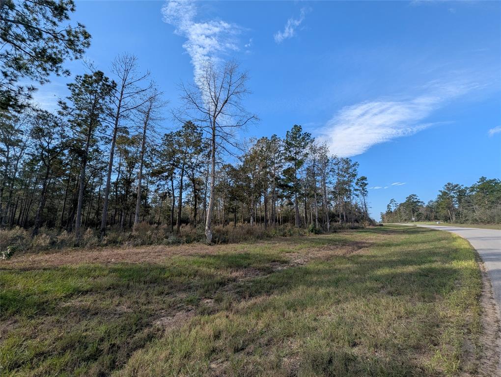 10698 Ruger Road, Willis, Texas image 7