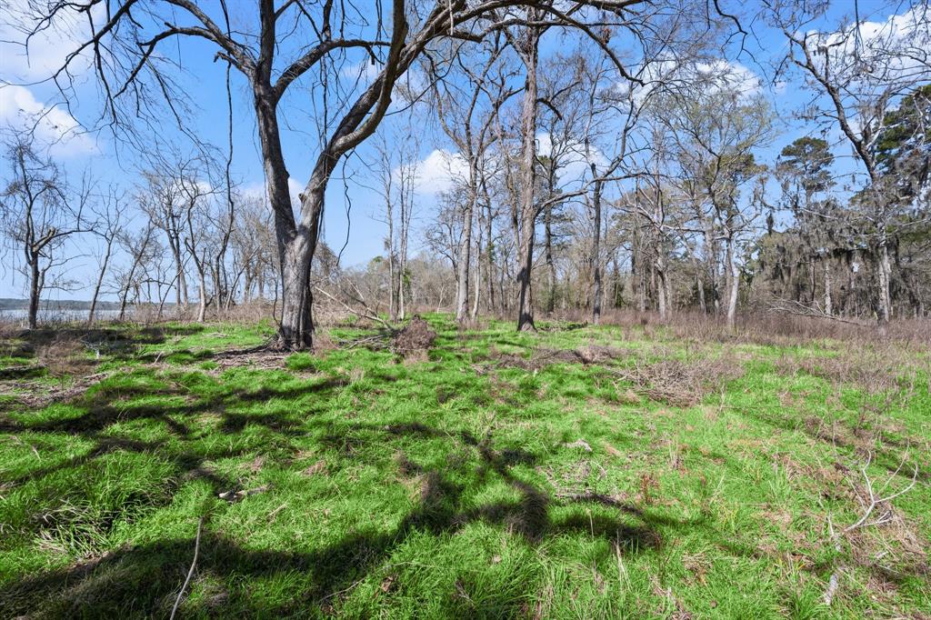 2405 Barretts Landing Road, Trinity, Texas image 32