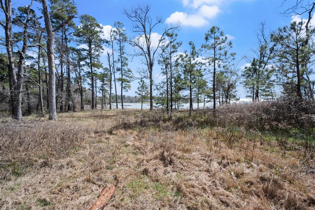 2405 Barretts Landing Road, Trinity, Texas image 28