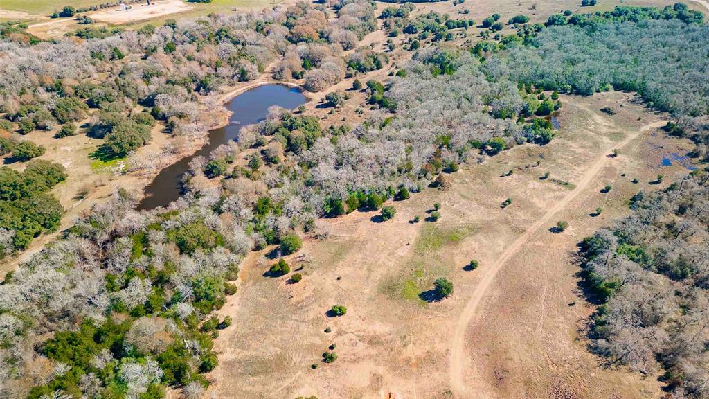 Tract 8 Nassau, Round Top, Texas image 9