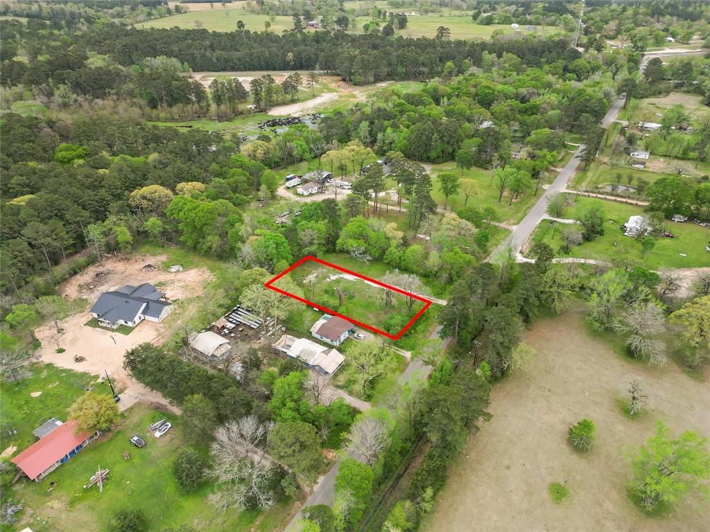 13194 Lake Conroe Bay Road, Willis, Texas image 3
