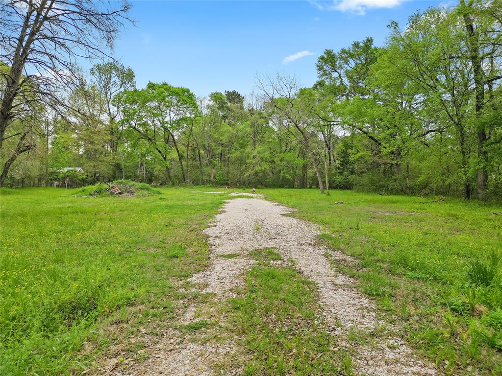 13194 Lake Conroe Bay Road, Willis, Texas image 5