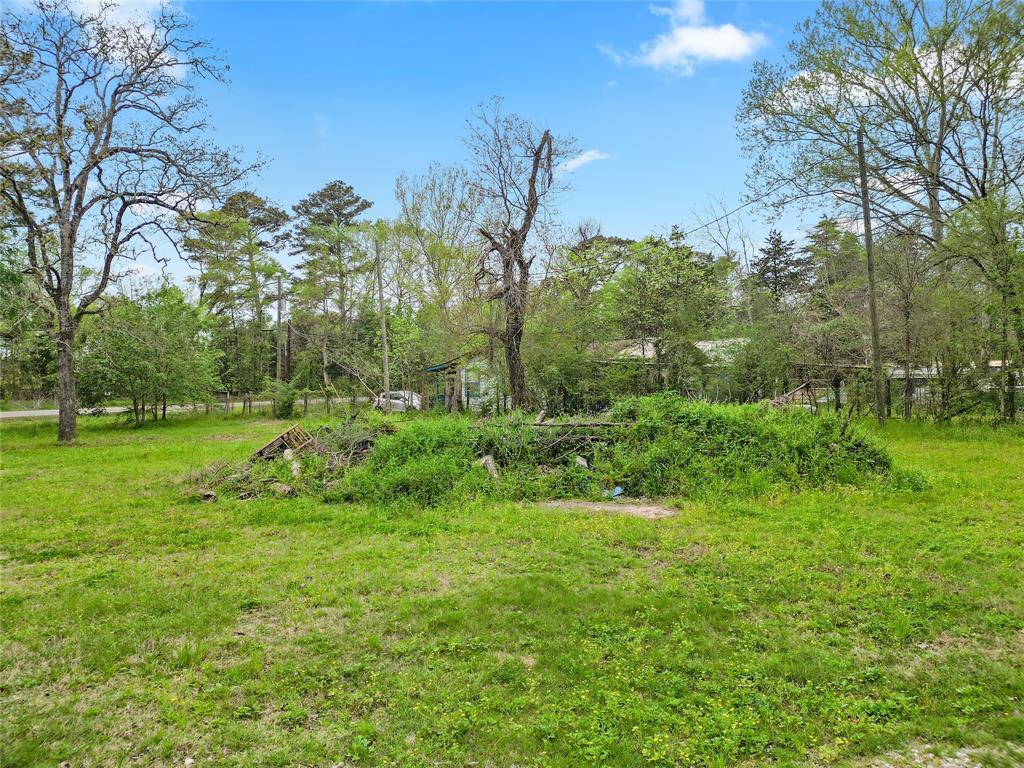 13194 Lake Conroe Bay Road, Willis, Texas image 6