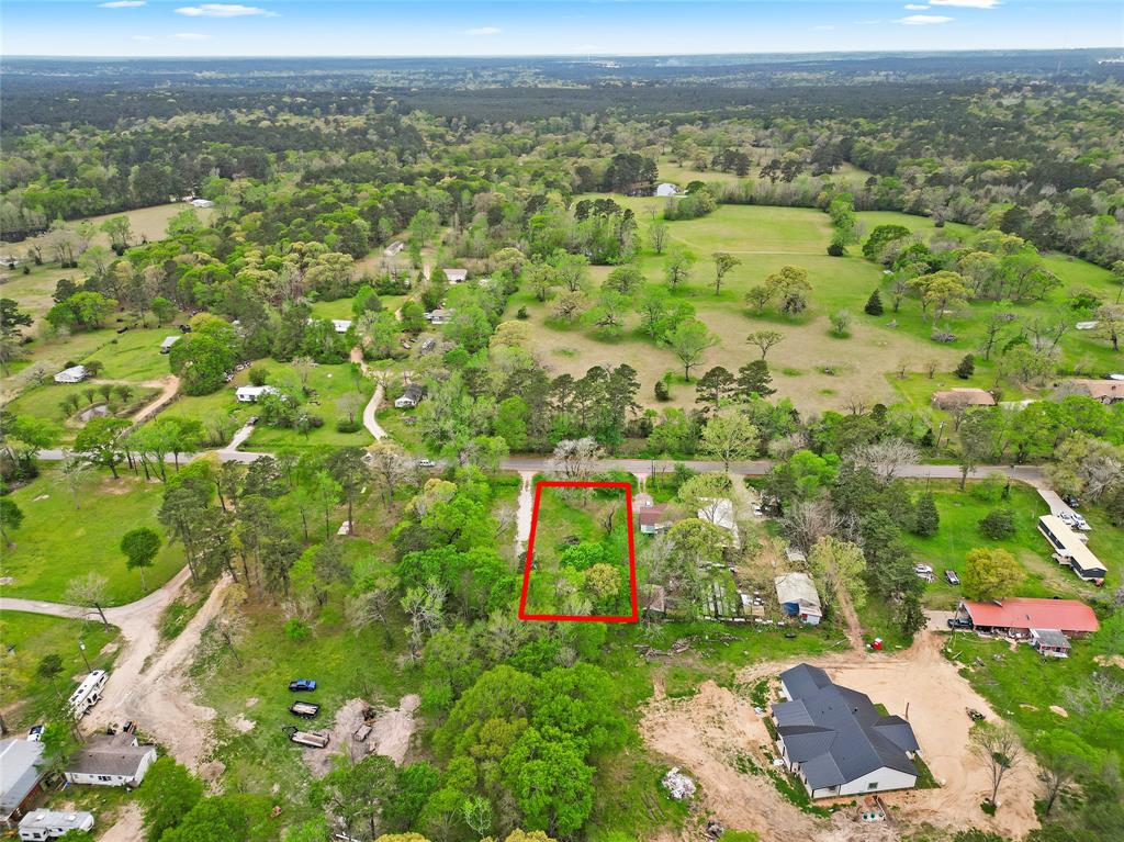 13194 Lake Conroe Bay Road, Willis, Texas image 2