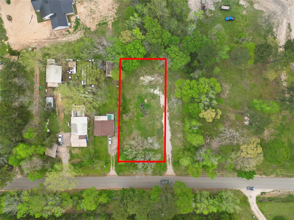 13194 Lake Conroe Bay Road, Willis, Texas image 4