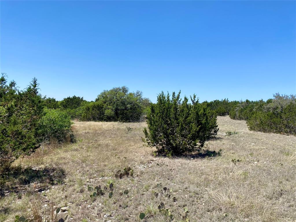 22 AC. Laird Road, Junction, Texas image 8