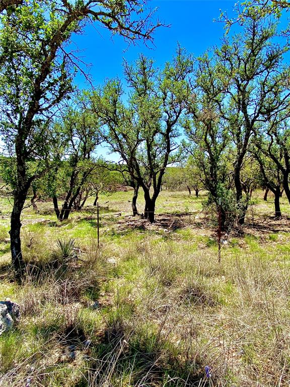 22 AC. Laird Road, Junction, Texas image 12