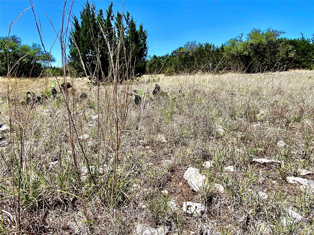 22 AC. Laird Road, Junction, Texas image 7
