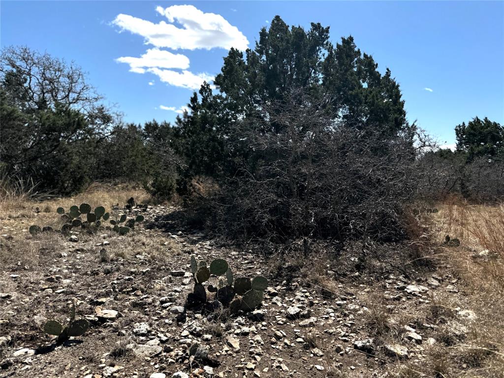 22 AC. Laird Road, Junction, Texas image 4