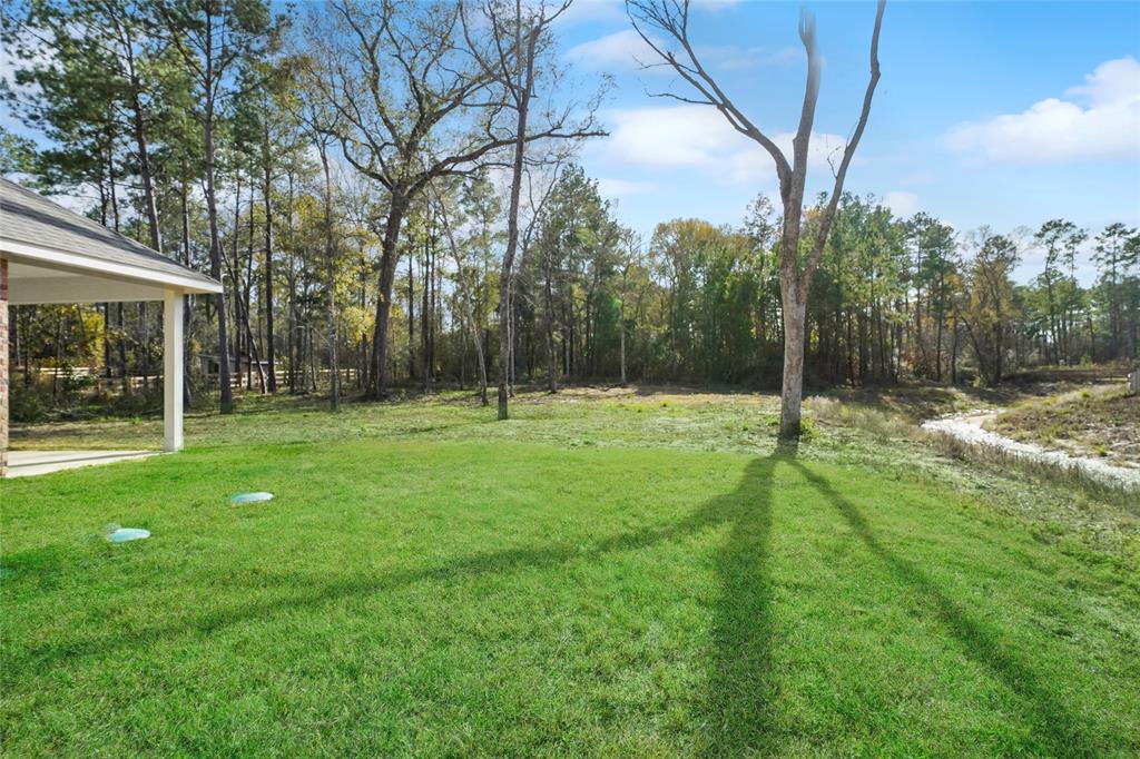 177 Jim Hall Lane, New Waverly, Texas image 2