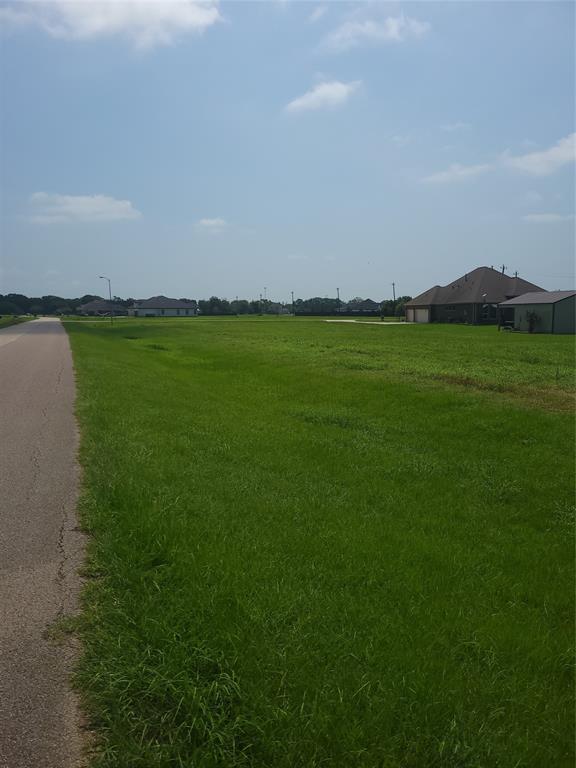 18402 Lakeland Pass, Rosharon, Texas image 9