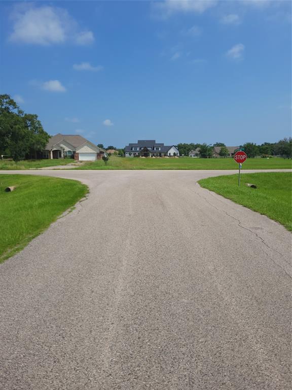 18402 Lakeland Pass, Rosharon, Texas image 10