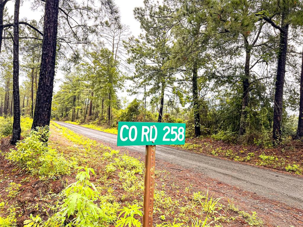 Cr 257 / Cr 258, Jasper, Texas image 15