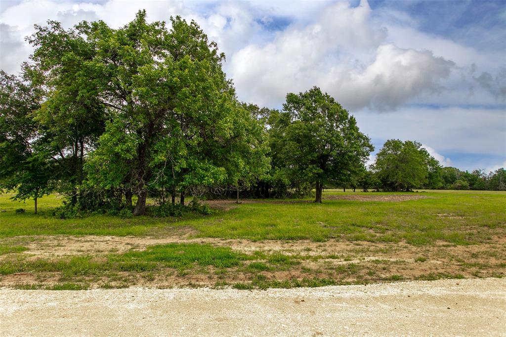 270 Green Acres Lane, Milano, Texas image 3