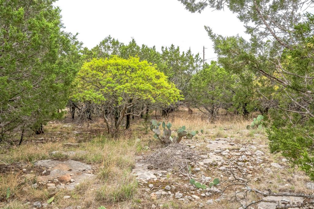 Lot 52 Carnoustie Drive, Graford, Texas image 21