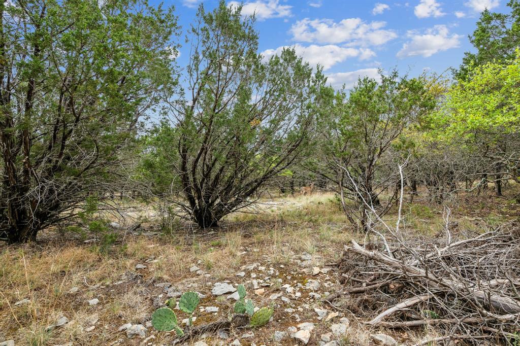 Lot 52 Carnoustie Drive, Graford, Texas image 3
