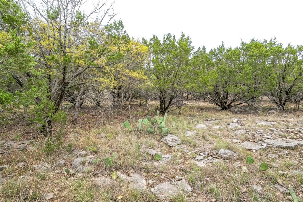 Lot 52 Carnoustie Drive, Graford, Texas image 23