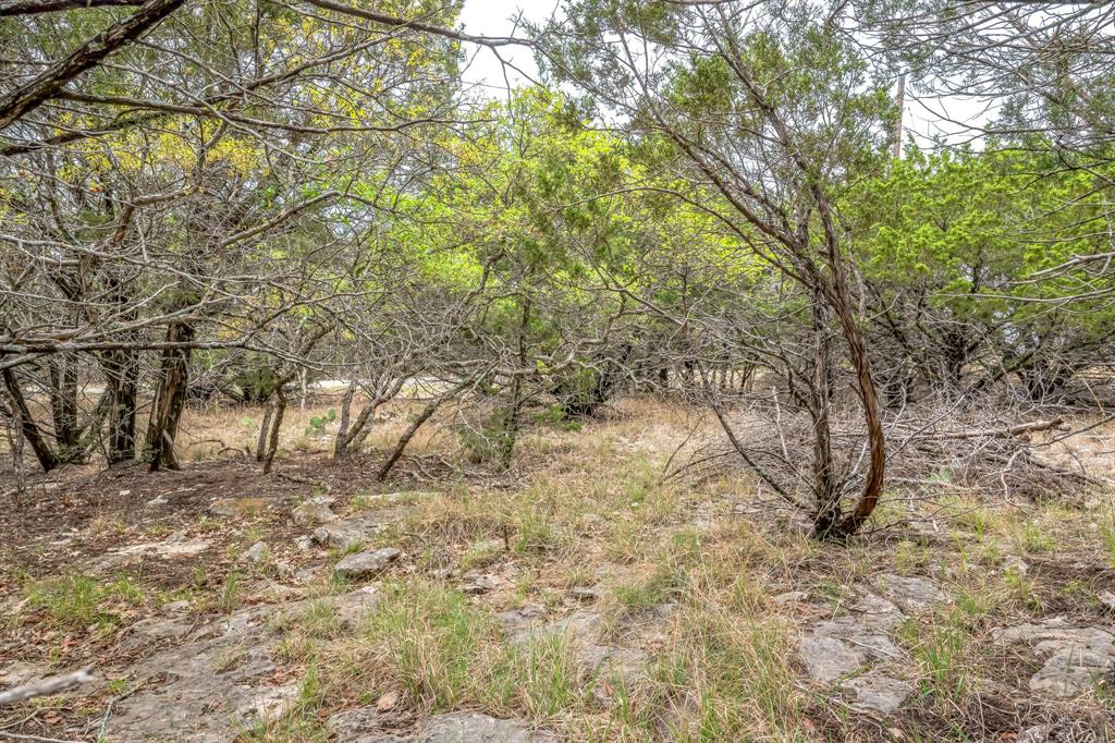 Lot 52 Carnoustie Drive, Graford, Texas image 25