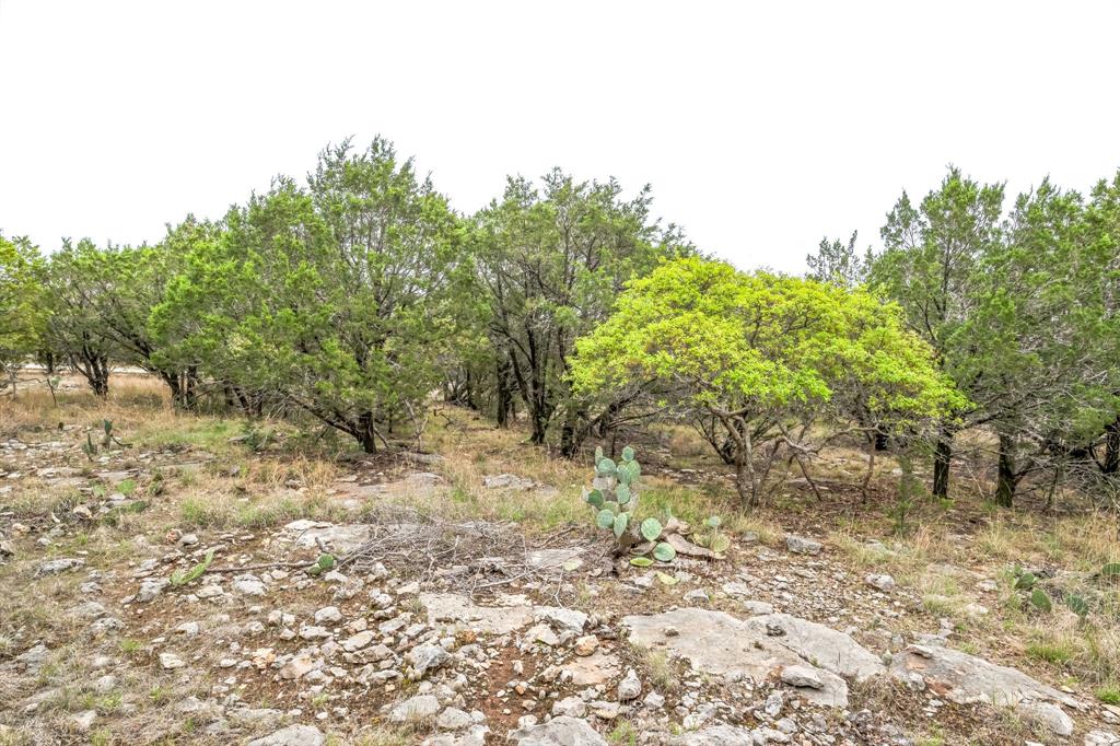 Lot 52 Carnoustie Drive, Graford, Texas image 22