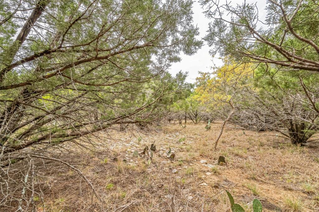 Lot 52 Carnoustie Drive, Graford, Texas image 17
