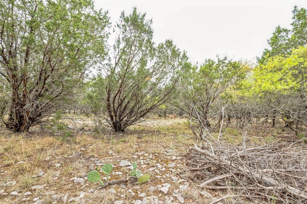 Lot 52 Carnoustie Drive, Graford, Texas image 19