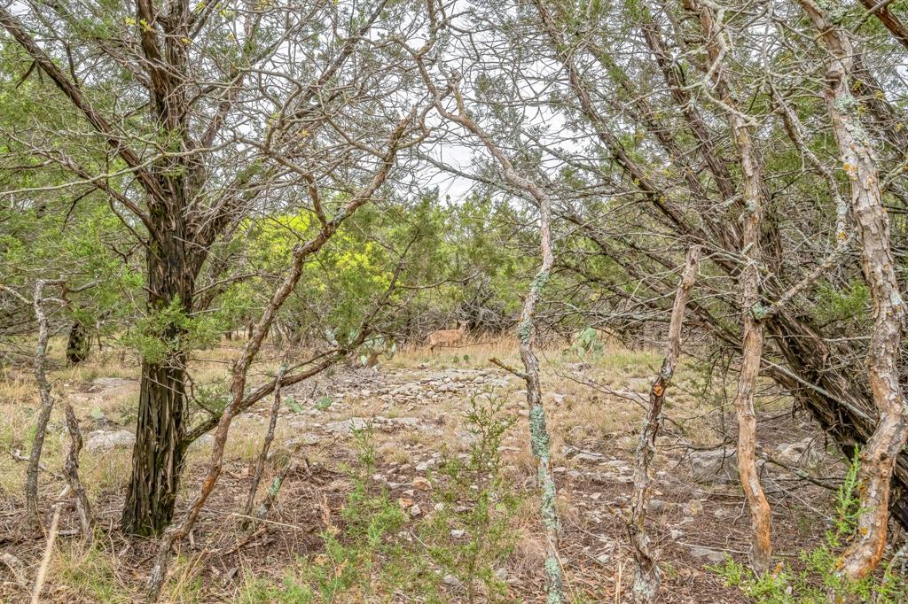 Lot 52 Carnoustie Drive, Graford, Texas image 20