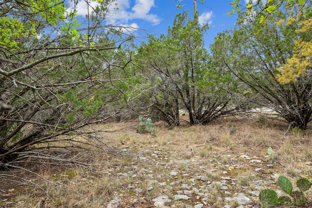 Lot 52 Carnoustie Drive, Graford, Texas image 4