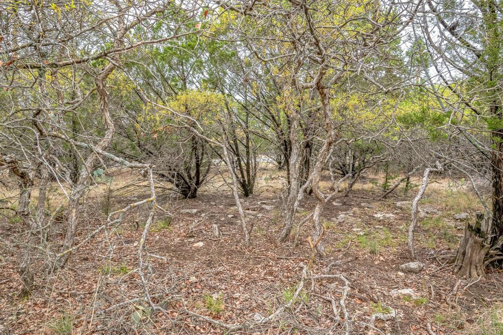 Lot 52 Carnoustie Drive, Graford, Texas image 24
